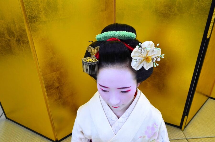 Kyoto: Meet-and-Greet, Maiko Show and Experience - What you are really watching: maiko training through dance and details