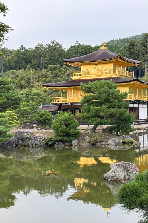 Kyoto & Nara Full Day Customised Tour - Pricing reality check: $290 per group up to 6, when it’s a smart deal