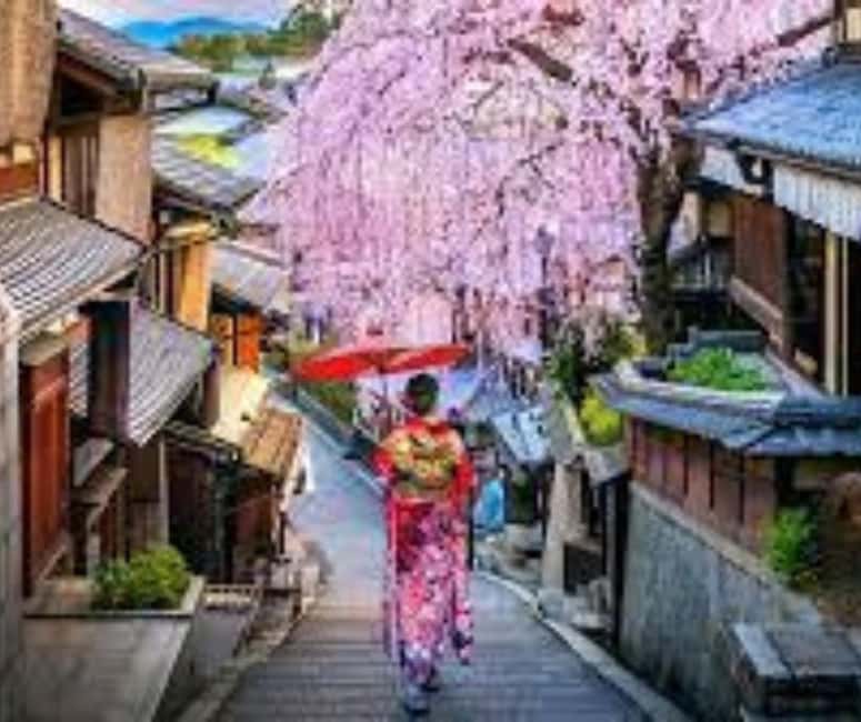 Kyoto & Nara Private Customized, Guided Tour - Fushimi Inari Taisha: Torii Gates, Photos, and a Guided 1-Hour Walk
