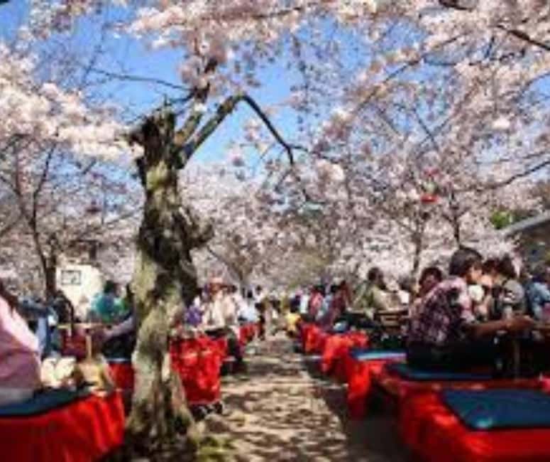 Kyoto & Nara Private Customized, Guided Tour - Nishiki Market in One Hour: Guided Intro, Then Self-Time