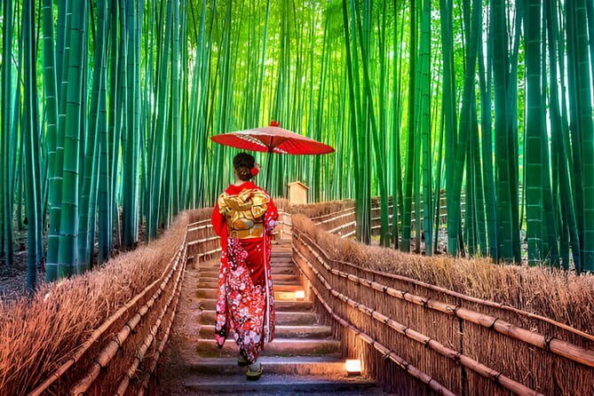 Kyoto & Nara Private Day Tour - Fushimi Inari-taisha Torii Gates: Your First Big Kyoto Moment