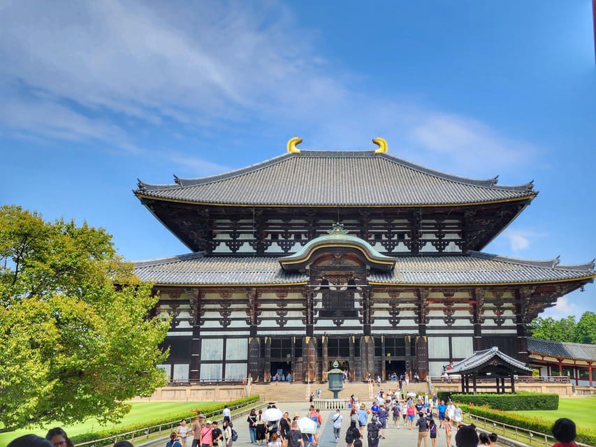 Kyoto: Nara, Todaiji, Kasuga Taisha Shrine Private Full Day - Key things I think you will love