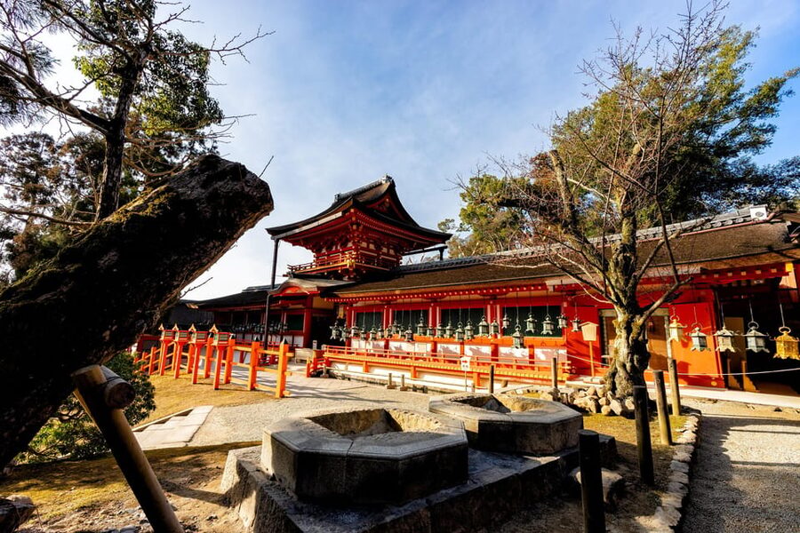 Kyoto: Nara, Todaiji, Kasuga Taisha Shrine Private Full Day - Kofuku-ji: Where the Heijo-kyo Capital Story Gets Real