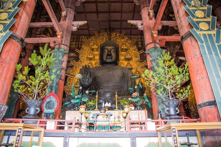 Kyoto: Nara, Todaiji, Kasuga Taisha Shrine Private Full Day - Lunch Break in Nara: Local Specialties, Your Choice