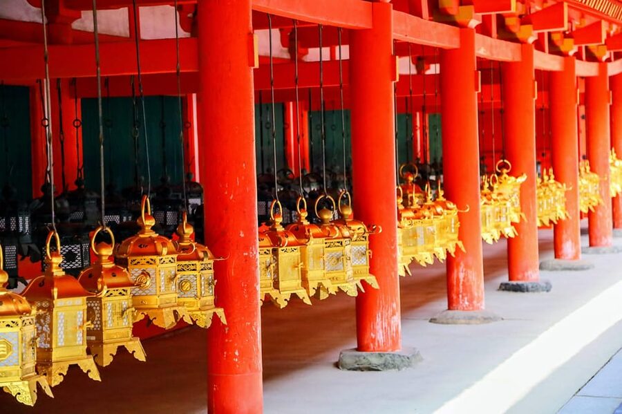 Kyoto: Nara & Traditional Matcha Experience Bus Tour - Tōdai-ji Temple: The Great Buddha in a Monster Wooden Hall