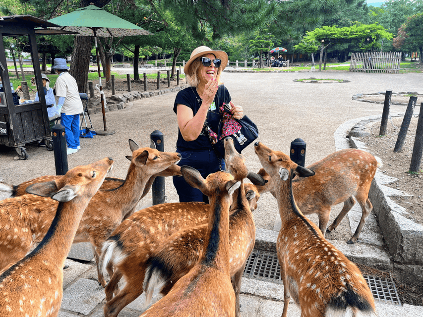 Kyoto: Nara & Traditional Matcha Experience Bus Tour - Kyoto Avanti Start: What to Know Before 8:00 AM