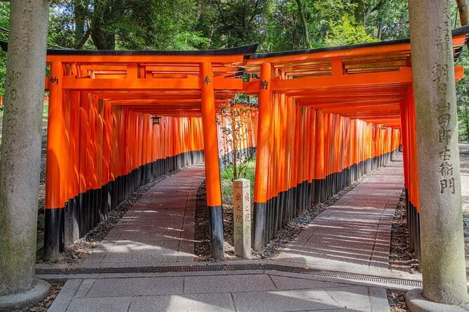 Kyoto & Nara & Uji: Full Day Sightseeing Tour from Osaka or Kyoto - Osaka or Kyoto pickup: how the day starts and what to expect