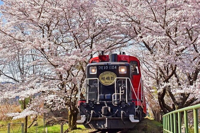 Kyoto & Nara & Uji: Full Day Sightseeing Tour from Osaka or Kyoto - Byōdoin Omotesando: matcha shopping time that doesn’t feel like a trap