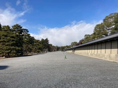 Nijo Castle and Kyoto Imperial Palace Guided Tour