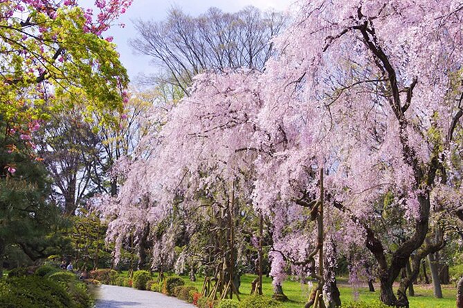 Kyoto: Nijo Castle World Heritage Guided Tour with Admission - Small-group attention: why up to 10 people changes everything