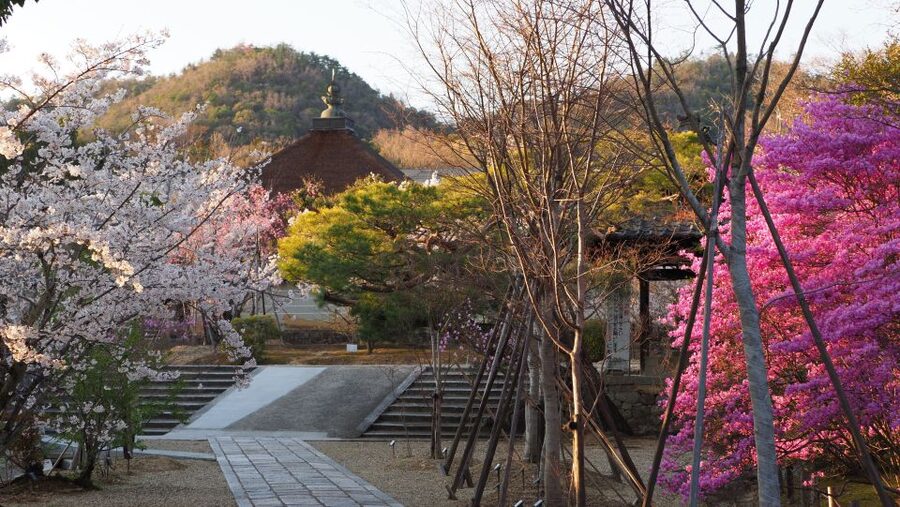 Kyoto: Ninnaji Temple Entry Ticket - Omuro Pilgrimage course: a shorter Shikoku route in Kyoto