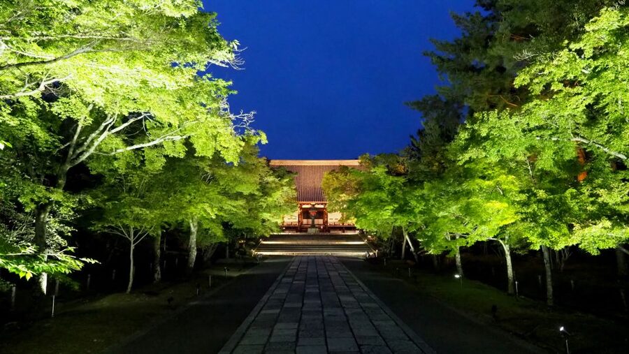 Kyoto: Ninnaji Temple Entry Ticket - Price and value: a low base fee with smart add-ons