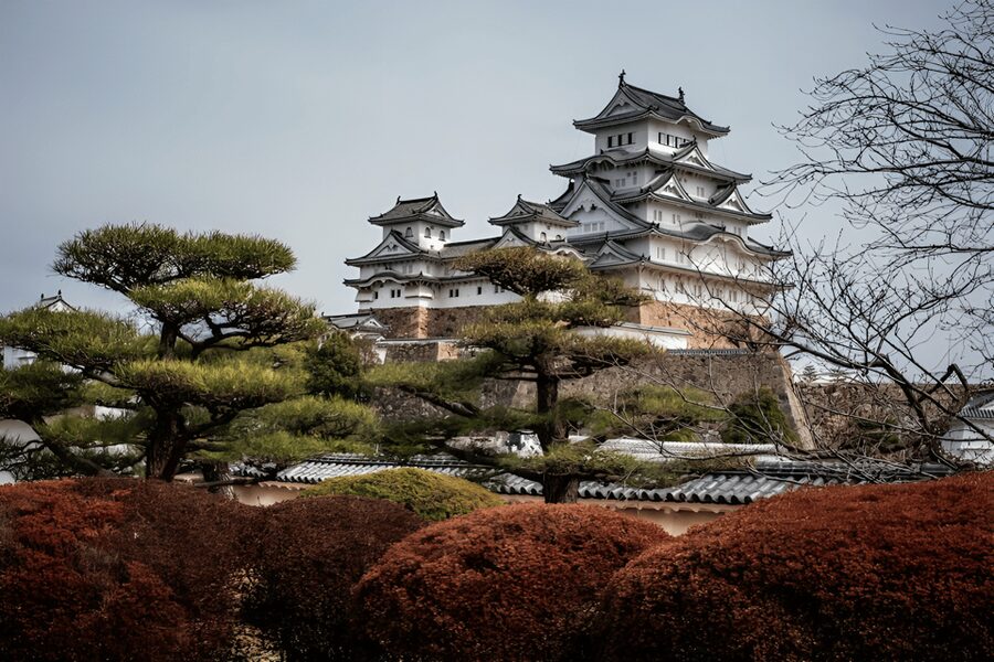 Kyoto/Osaka: Kobe & Himeji Journey Through Culture & History - Price and logistics: is $451 per group up to 6 good value?