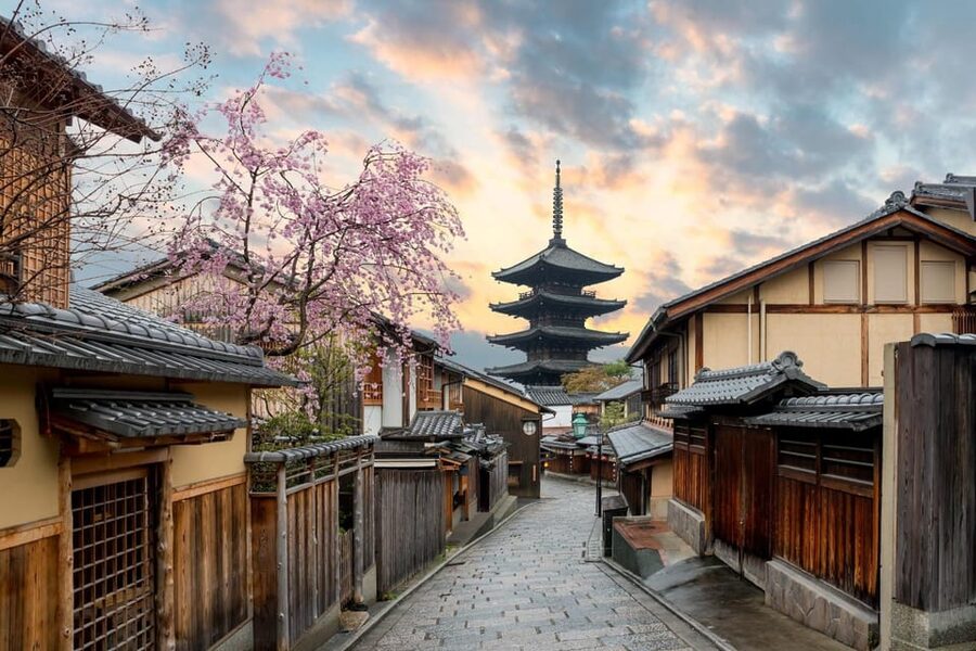 Kyoto/Osaka: Kyoto and Nara Customized Private Guided Tour - How the 10-Hour Private Car Tour Really Works