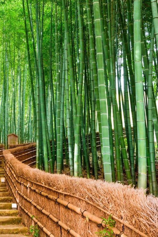 Kyoto/Osaka: Kyoto and Nara Customized Private Guided Tour - Price and Logistics, What You’re Actually Paying For