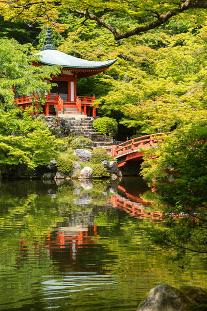Kyoto/Osaka: Kyoto and Nara Customized Private Guided Tour - The Stops That Make the Day Feel Complete