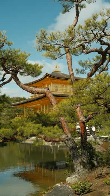 Kyoto/Osaka: Kyoto&Nara Customized Private Highlights Tour - Nishiki Market and Gion: Snacks and Traditional Streets