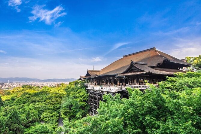 Kyoto, Osaka, Nara Full Day tour by Car English speaking Driver - Arashiyama Bamboo Grove: the photo stop everyone recognizes
