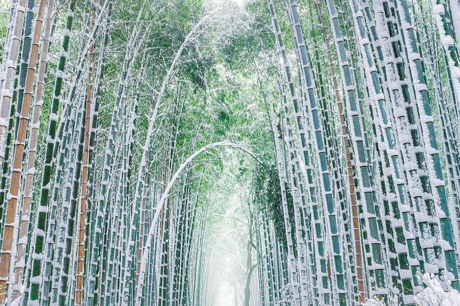 Kyoto, Osaka, Nara Private Tour by Car English Driver Guide - The Kyoto full-day route, from Arashiyama to Nishiki Market