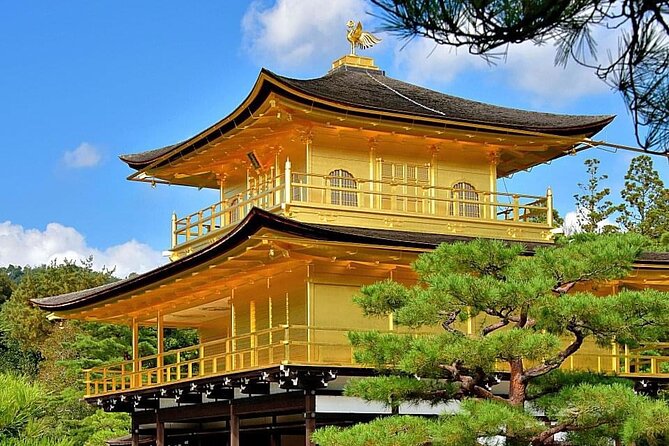 Kyoto, Osaka, Nara Private Tour by Car English Driver Guide - The Osaka full-day route, castles to Dotonbori