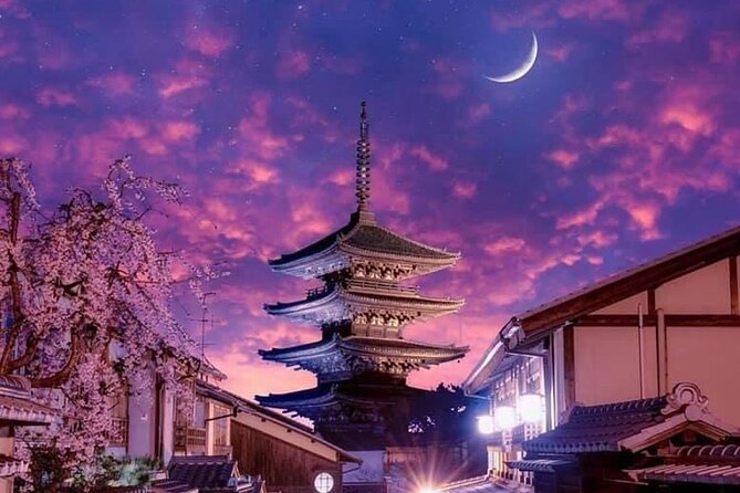 Kyoto, Osaka, Nara Private Tour by Car English Driver Guide - English driver expectations, and why some days feel guided