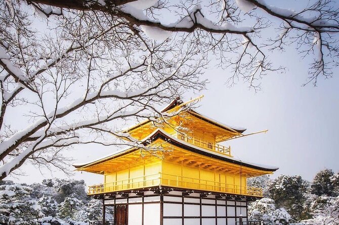 Kyoto, Osaka, Nara Private Tour by Car English Driver Guide - Timing, crowd management, and photo-friendly suggestions