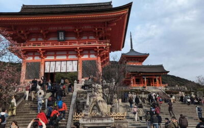 Personalize, private tour (3h, 5h, 8h) [W/Car Option]