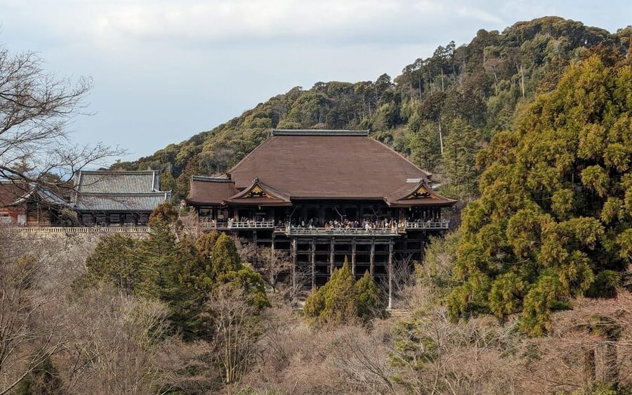 Kyoto: Personalize, private tour (3h, 5h, 8h) [W/Car Option] - The Car Option, When Comfort and Covering More Matter