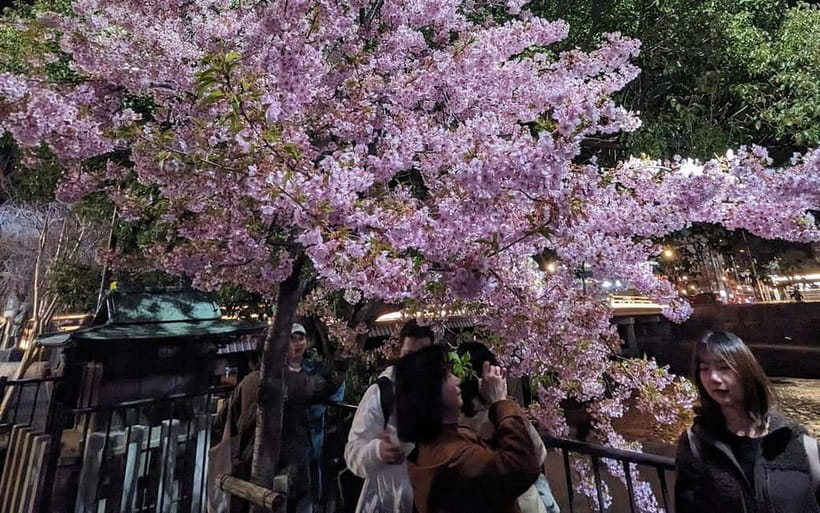 Kyoto: Personalize, private tour (3h, 5h, 8h) [W/Car Option] - Learning Kyoto Through Shinto and Buddhism, Not Just Sightseeing