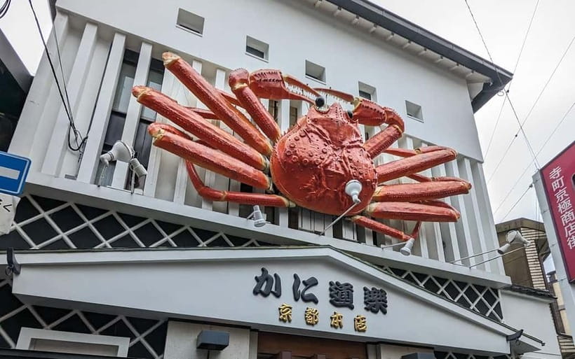 Kyoto: Personalize, private tour (3h, 5h, 8h) [W/Car Option] - Practical Notes: Shoes, Heat Gear, and What Is Not Allowed