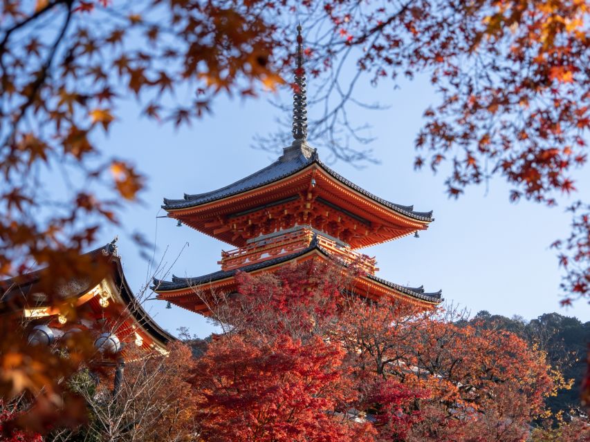 Kyoto: Personalized Guided Private Tour - Fushimi Inari and the red Torii gates: what you’re really optimizing