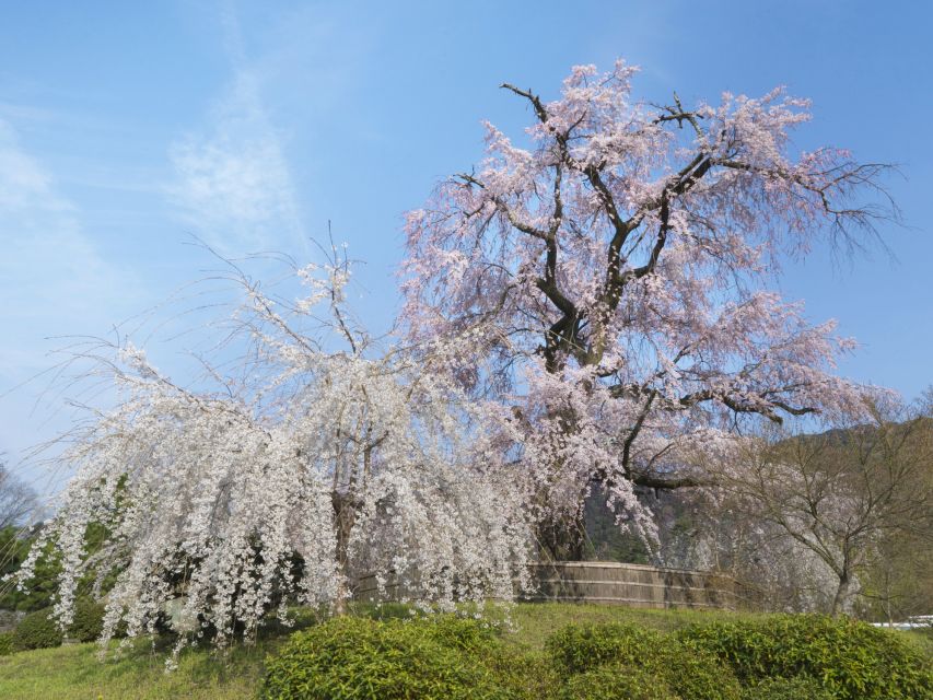 Kyoto: Private 2.5 Hour Historical Walking Tour - Pure-water rituals and the heavy iron stick challenge