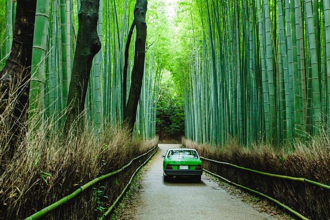 Kyoto Private 6 hour Tour: English Speaking Driver Only, No Guide - Key highlights worth planning around