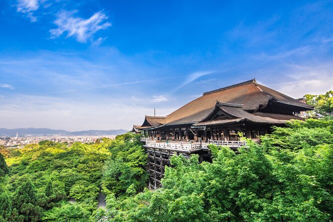 Kyoto Private 6 hour Tour: English Speaking Driver Only, No Guide - Timing, crowds, and how to make your 6 hours feel full
