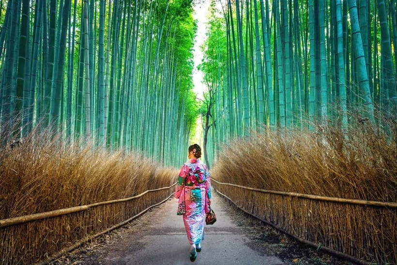 Kyoto: Private Customizable Day Tour with Guide and Vehicle - Key highlights at a glance