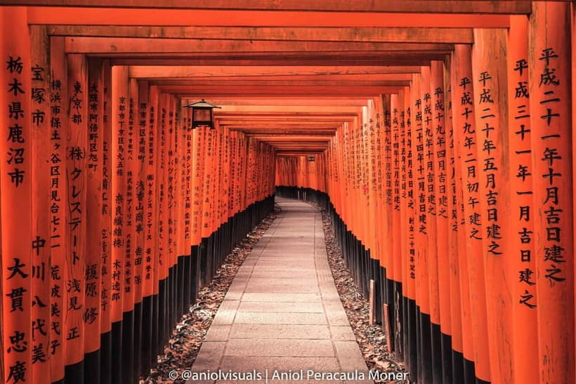 Kyoto: Private Customizable Day Tour with Guide and Vehicle - Arashiyama Bamboo Forest: timing, photos, and a slower scenic start