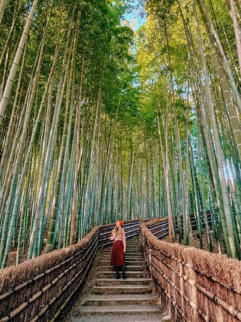 Kyoto: Private Customizable Day Tour with Guide and Vehicle - Kiyomizu-dera: big views, steady footing, and guided context