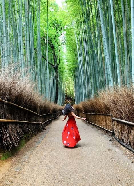 Kyoto: Private Customizable Day Tour with Guide and Vehicle - Fushimi Inari Taisha: torii photos with less hassle