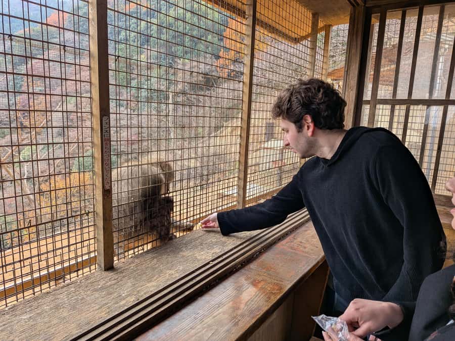 Kyoto: Private Customizable Day Trip by Car - The itinerary that strings Kyoto together: Arashiyama, Kinkaku-ji, Kiyomizu-dera, Fushimi Inari-taisha