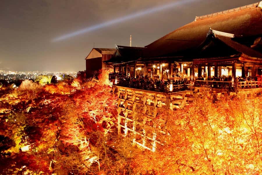 Kyoto: Private Customizable Day Trip by Car - The driver role: English support, meet-and-greet, and info between stops
