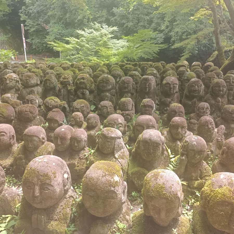 Kyoto: Private Customizable Day Trip by Car - Tips to get the most out of your day