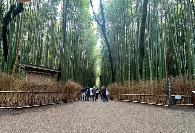 Kyoto Private Customizable Day Trip With English chauffeur - Key things to know before you go