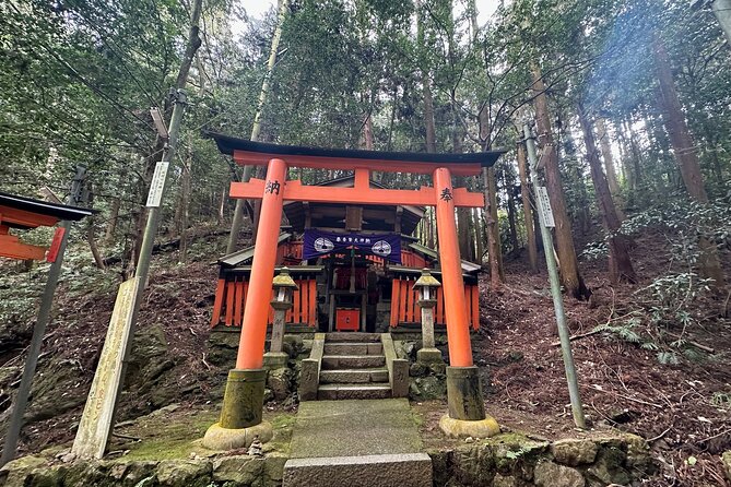 Kyoto Private Customizable Day Trip With English chauffeur - Why a private English chauffeur beats Kyoto buses and trains