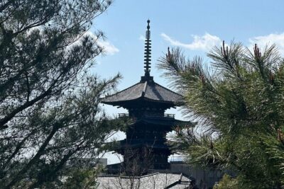 Kyoto Private Customizable Day Trip With English chauffeur
