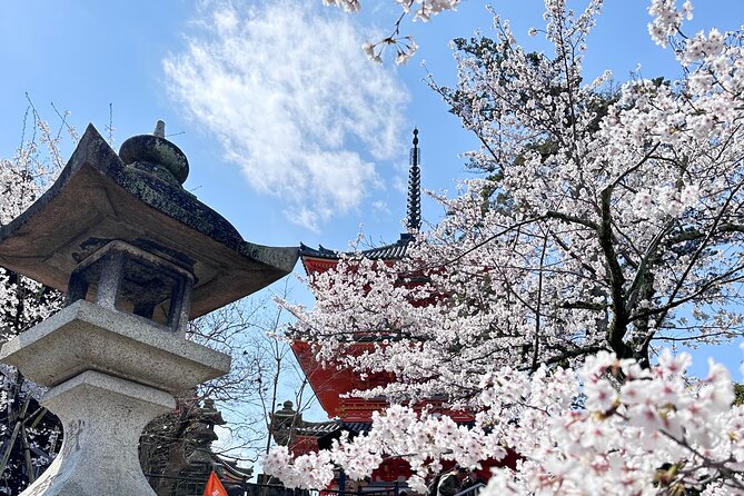 Kyoto Private Customizable Day Trip With English chauffeur - Kyoto Imperial Palace and gardens: quiet elegance over rush