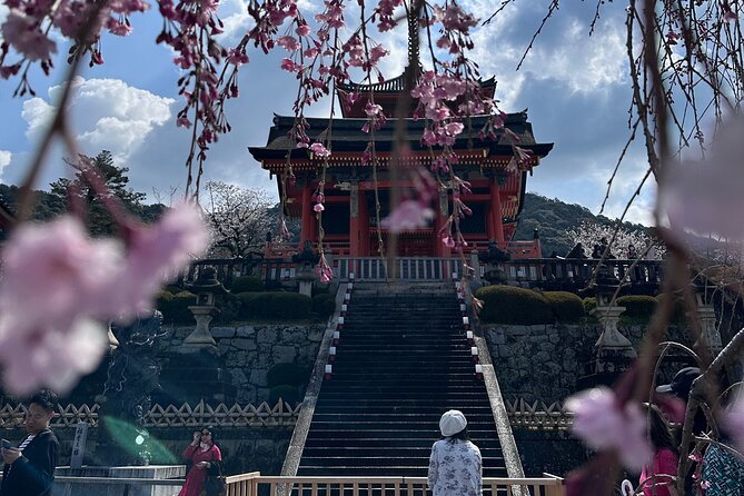 Kyoto Private Customizable Day Trip With English chauffeur - Nishiki Market plus Sanjusangendo: shopping flavor and statue power