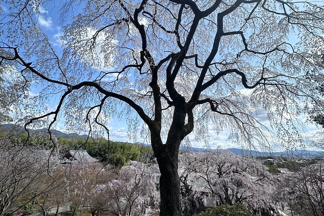 Kyoto Private Customizable Day Trip With English chauffeur - Ginkaku-ji and Kiyomizu-dera: two temple vibes, different reasons to care