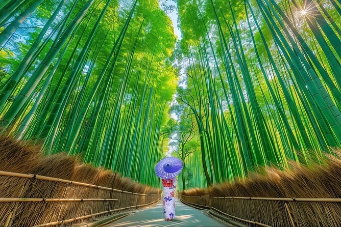 Kyoto Private Customized Day Tour with Guide - Key highlights to look forward to