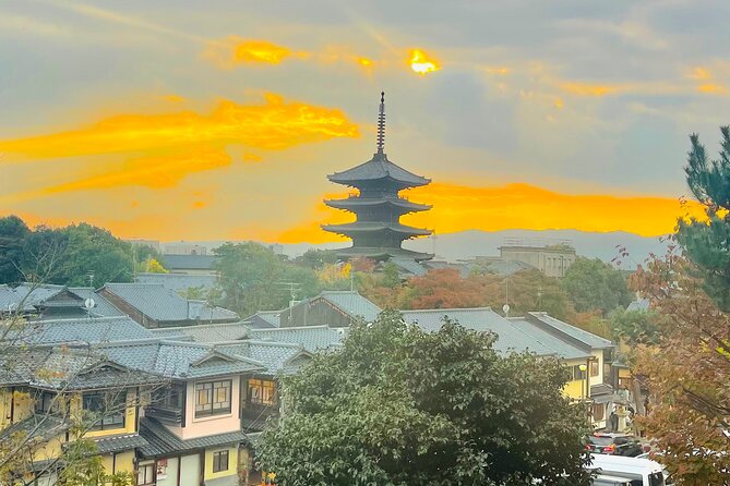 Kyoto Private Customized Day Tour with Guide - Nijo Castle: where the Edo era shows its teeth