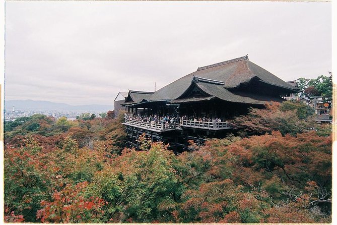 Kyoto Private Day Tour with English-Speaking Driver from Kyoto - Kodai-ji gardens and Yasaka Shrine lantern energy